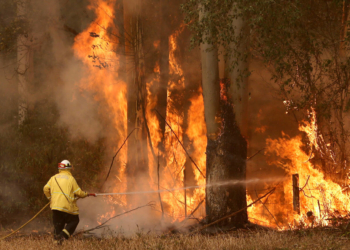 حرائق غابات كاليفورينا تُجبر السلطات على إخلاء المنازل من قاطنيها