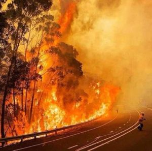 حريق الغابات الأسترالية
