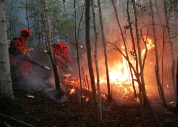 مصرع 19 شخصا بسبب حرائق الغابات في الصين