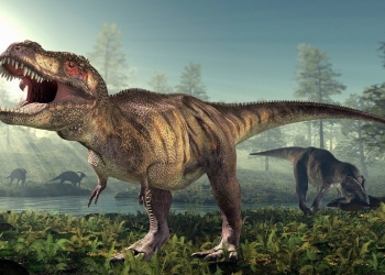 بيع ديناصور عمره 60 مليون عام بمبلغ خيالي