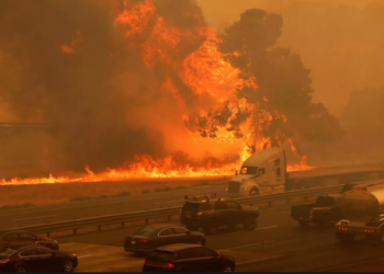 إجلاء 200 شخص بسبب حرائق الغابات في كاليفورنيا
