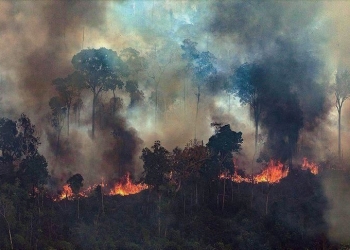 الحرائق تدفع البرازيل لإعلان الطوارئ