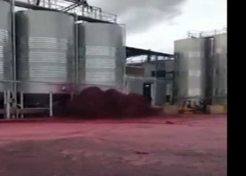 بالفيديو: النبيذ الأحمر يغمر مصنعا للخمور في إسبانيا