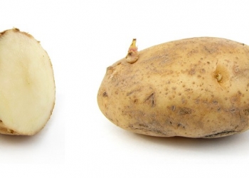 البطاطس المنبتة