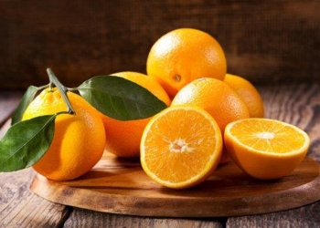أسهل طريقة لحفظ عصير البرتقال قبل انتهاء موسمه