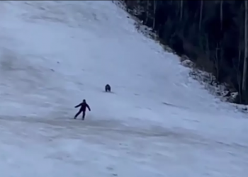 فيديو مرعب لمتزلج كاد يفقد حياته بسبب ملاحقة حيوان خطير له!