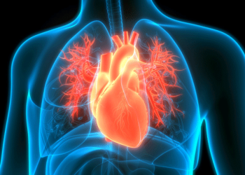 غير الأدوية.. 8 سلوكيات بسيطة تحمي مرضى القلب من الإجهاد المميت