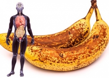 لن تصدقوا فوائد تناول ثمرتين من الموز على الريق.. معجزة حقيقية
