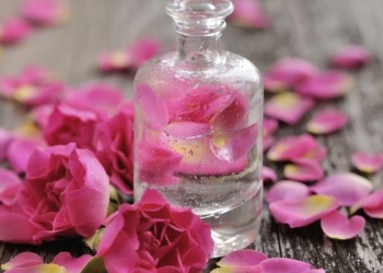 دراسة توضح فوائد استخدام ماء الورد.. منها تخفيف الصداع