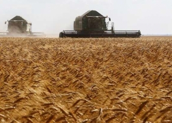كارثة تهدد محاصيل سوريا.. والزراعة توضح!