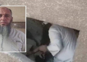 فيديو.. جزار مصري يتعدّى على سيدة بالضرب في إحدى العمارات السكنية