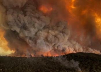 شاهد.. حريق ضخم يبتلع غابات يوتا الأمريكية