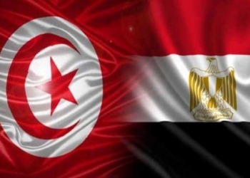 مصر تدعو للامتناع عن العنف ضد مؤسسات الدولة التونسية