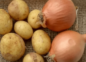 تخزين البصل والبطاطا