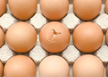 البيضة المتشققة