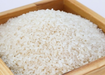 سوس الأرز