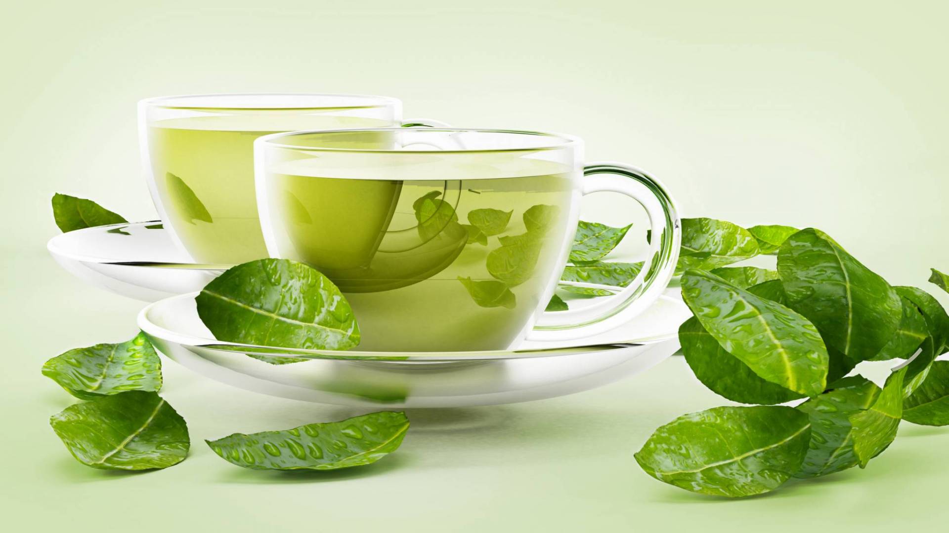 أضرار الشاي الأخضر