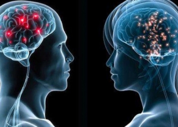 الفروقات بين دماغ المرأة و الرجل