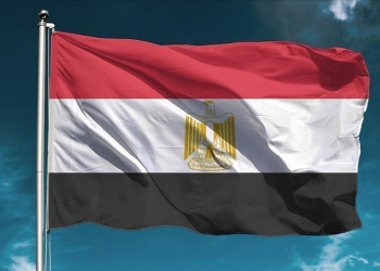 آلية تطبيق قرار التأمين على رعايا مصر في الخارج
