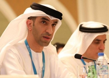 الزيودي: لا نية لفرض ضريبة على الدخل في الإمارات