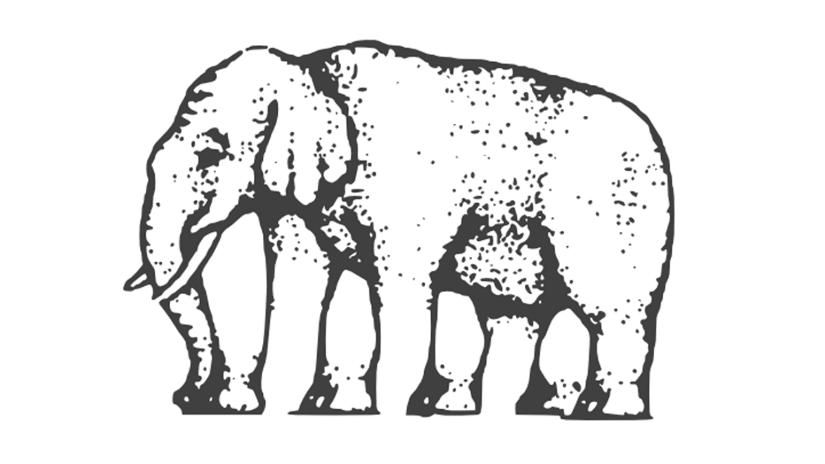 كم عدد أرجل هذا الفيل