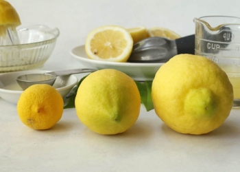حفظ الليمون المعصور