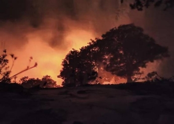 حريق ضخم في إحدى محميات الأردن