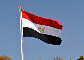 الحكومة المصرية تحدد قطاعات ستخرج منها