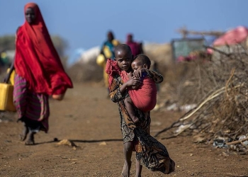 الأمم المتحدة تكشف عدد المهددين بالجوع في السودان
