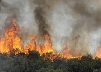 الحرائق تجتاح غابات الجنوب في فرنسا