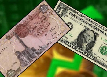 الدولار يرتفع مقابل الجنيه المصري