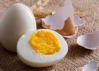 نحمي البيض من التكسر