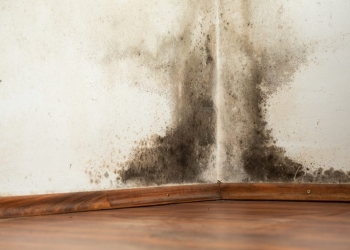 إزالة العفن والرطوبة من جدران المنزل