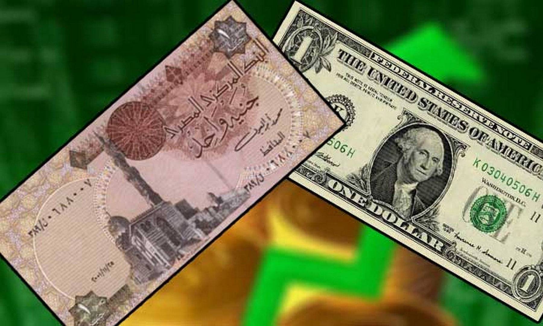 أسعار الدولار أمام الجنيه المصري اليوم