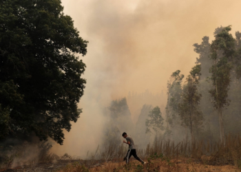 مقتل 13 شخصاً في تشيلي جراء حرائق الغابات