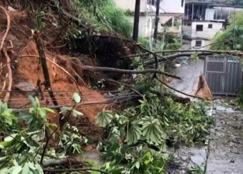 ارتفاع عدد ضحايا الفيضانات والانهيارات الأرضية في البرازيل إلى 36