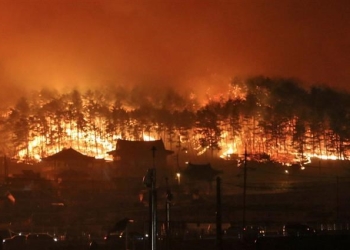فرق الإطفاء تواصل مواجهة حرائق الغابات في كوريا الجنوبية