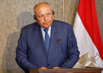وزير الخارجية المصري يؤكد تعرض بلاده لتهديدات أمنية وإرهابية كبيرة