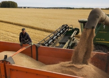 الكشف عن حجم خسائر أوكرانيا حال فسخ صفقة الحبوب