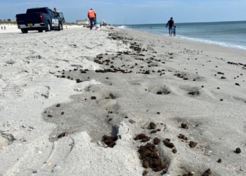 كمية كبيرة من المخدرات تنتشر على شاطئ فلوريدا