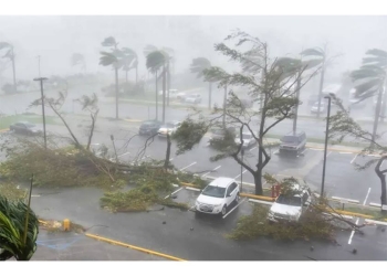 العواصف تسبب خسائر بشرية في الولايات المتحدة