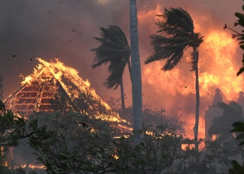 ارتفاع عدد ضحايا حرائق الغابات في هاواي