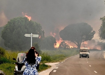 فرنسا.. حرائق غابات كبيرة تجتاح جنوب البلاد