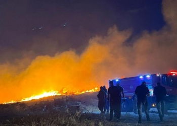 حرائق الغابات تجبر السلطات التركية على إغلاق مضيق الدردنيل