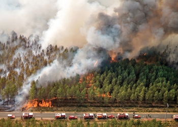 كم بلغت خسائر أوروبا بسبب حرائق الغابات؟