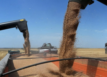 روسيا تسجل رقماً قياسياً في صادرات الحبوب