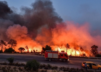 الجزائر.. الدفاع المدني يعلن إطفاء 18 حريقاً في ولاية بجاية