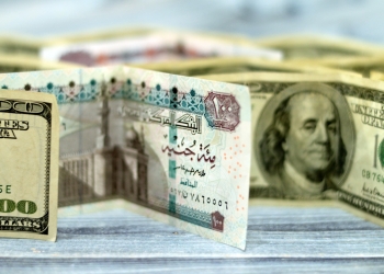 استقرار سعر الدولار مقابل الجنيه في بنوك مصر