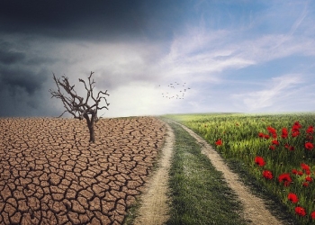 كيف يهدّد التغيّر المناخي الزراعة على كوكب الأرض؟