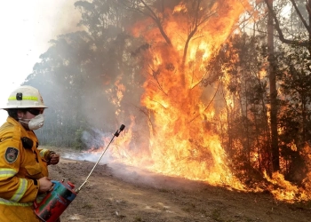 الحرائق تتواصل في غابات أستراليا
